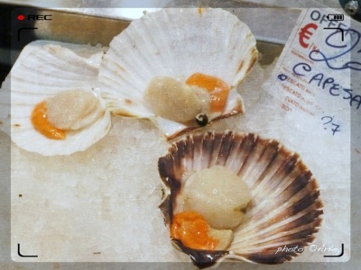 Capesante - Scallops :: Take Five - Food Shopping in Rome at The New Esquilino Market - Seafood Stalls | photo: ©ArKey